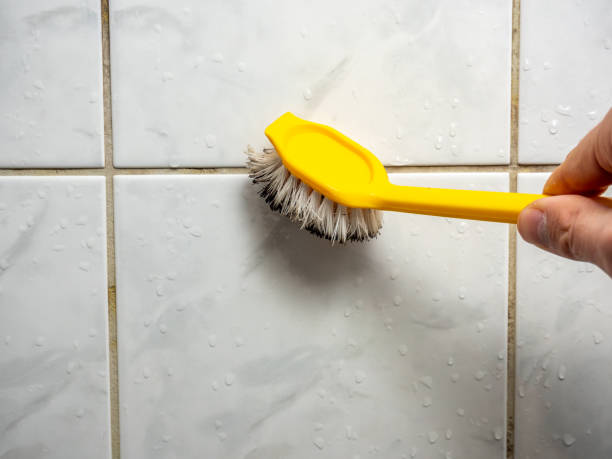 Best Home Mold Removal  in Kronenwetter, WI