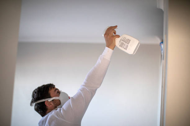 Best Emergency Mold Removal  in Kronenwetter, WI