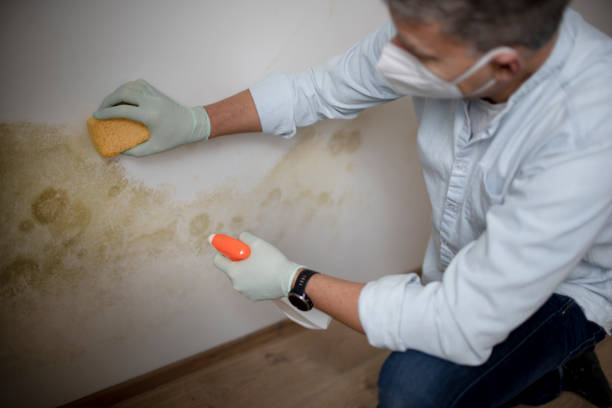 Best Mold Testing  in Kronenwetter, WI