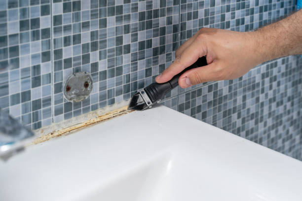 Best Certified Mold Removal  in Kronenwetter, WI